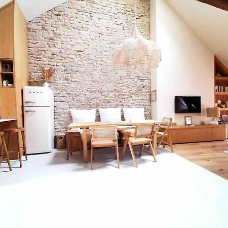 Appartement Le Toit Des Hospices : Hypercentre/vue/clim
