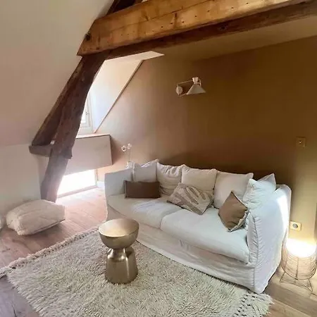 Le Toit Des Hospices : Hypercentre/vue/clim