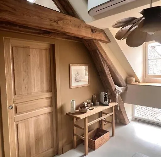 Le Toit Des Hospices : Hypercentre/vue/clim *