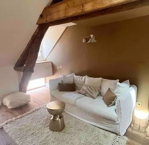 Le Toit Des Hospices : Hypercentre/vue/clim