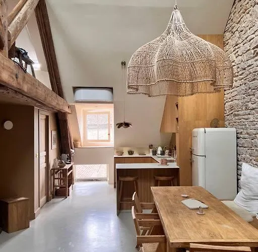 Apartment Le Toit Des Hospices : Hypercentre/vue/clim Beaune (Cote d'Or)